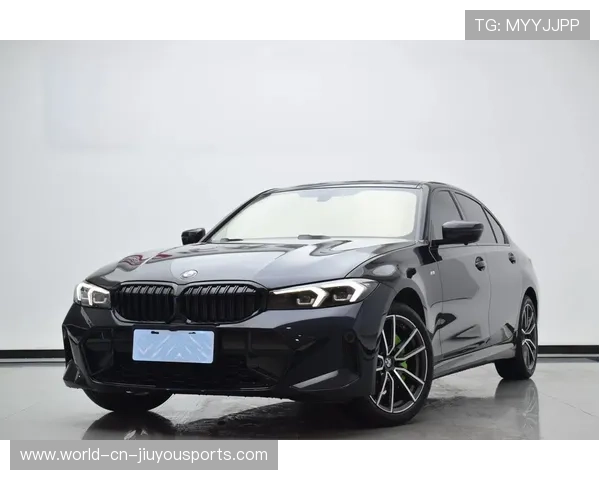 云达防线高压下可能暴露漏洞——破解安全屏障的隐忧与救赎